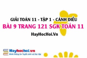 Giải bài 9 trang 121 Toán 11 tập 1 SGK Cánh Diều